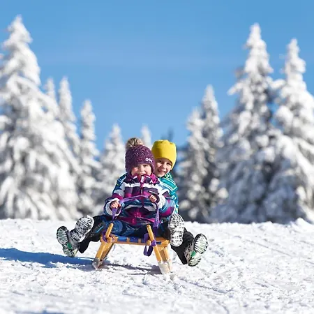 Terme - Atrij 4* Zreče