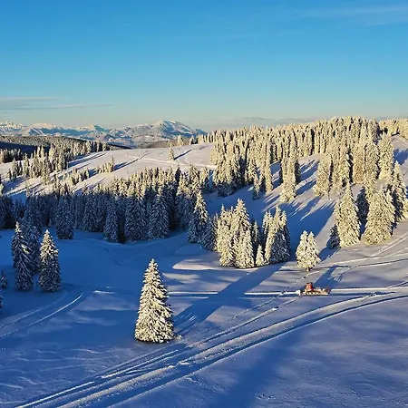 Terme - Atrij