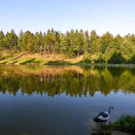 Hotel Terme - Atrij Zreče