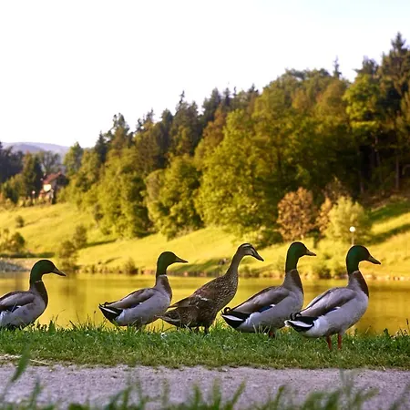 Hotel Terme - Atrij Zrece