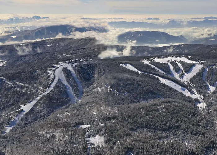 Terme - Atrij Hotel 4*