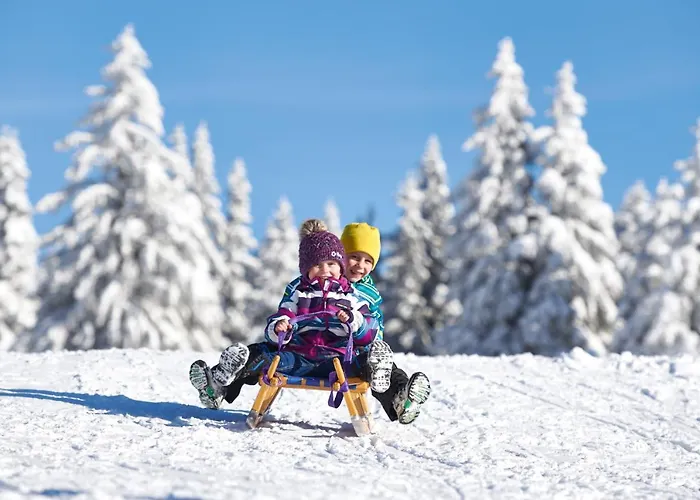 Terme - Atrij 4* Zrece