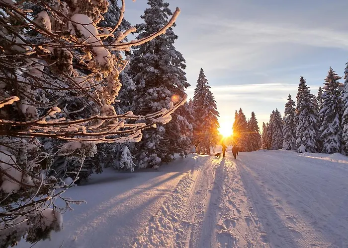 Terme - Atrij Hotel Zrece