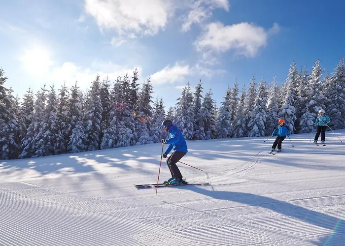 Terme - Atrij Hotel 4*