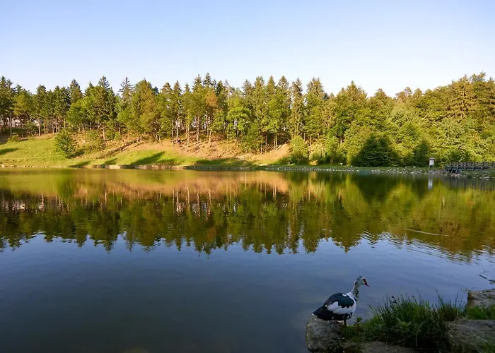 Hotel Terme - Atrij Zrece