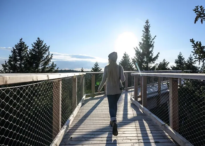 Hotel Terme - Atrij Zrece